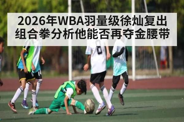 2026年WBA羽量级徐灿复出组合拳分析他能否再夺金腰带